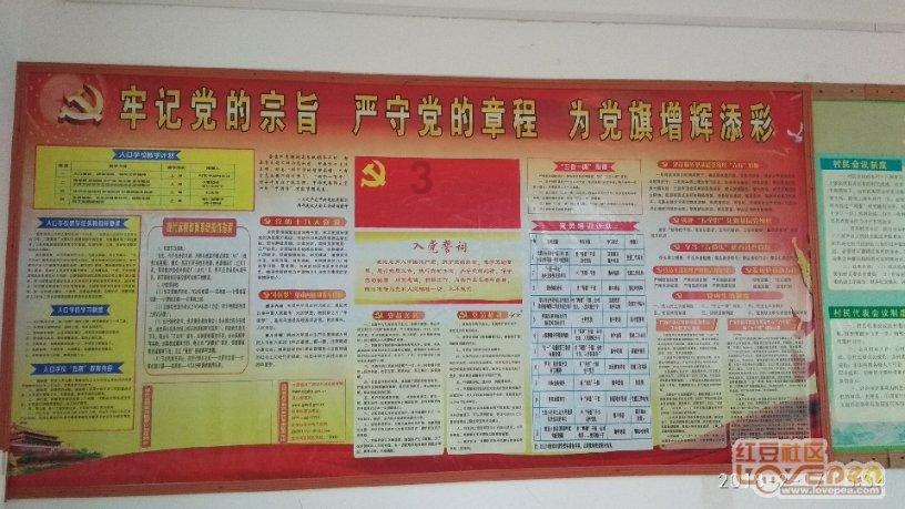 国家电网公司举行2024年老同志新春茶话会